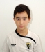 2004_francisco-goncalves-ribeiro
