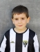 2010 - Miguel Monteiro Teixeira